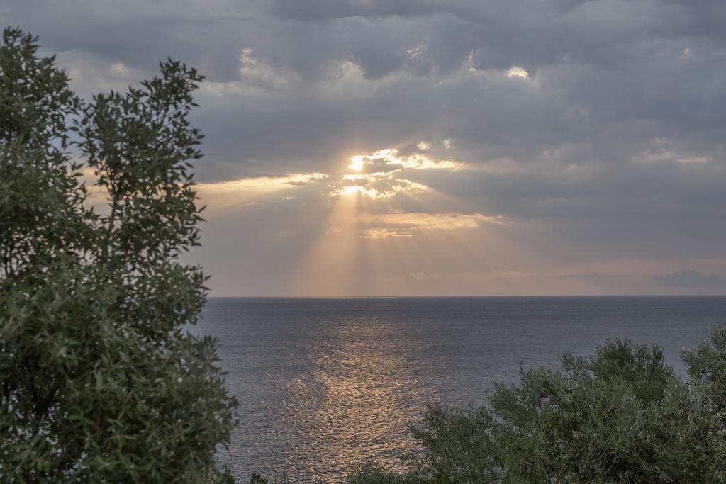 Pilio Sea Horizon Hotel Τσαγκαράδα Εξωτερικό φωτογραφία